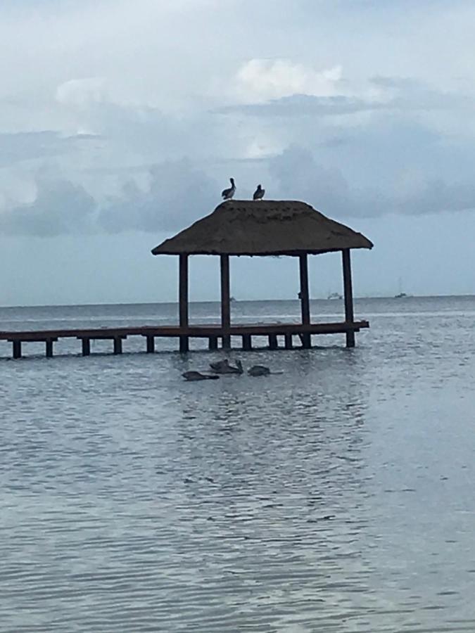 Front Beach Private Room With Shared Bathroom Cancun Bagian luar foto